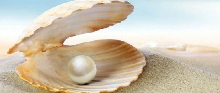 年紀(jì)輕輕，怎么就愛(ài)上珍珠